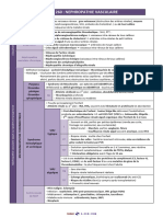Item 260 - Nephropathie Vasculaire