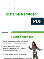 Sistema Nervioso