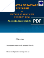 04 Anatomia AP. Digestiv Rev1