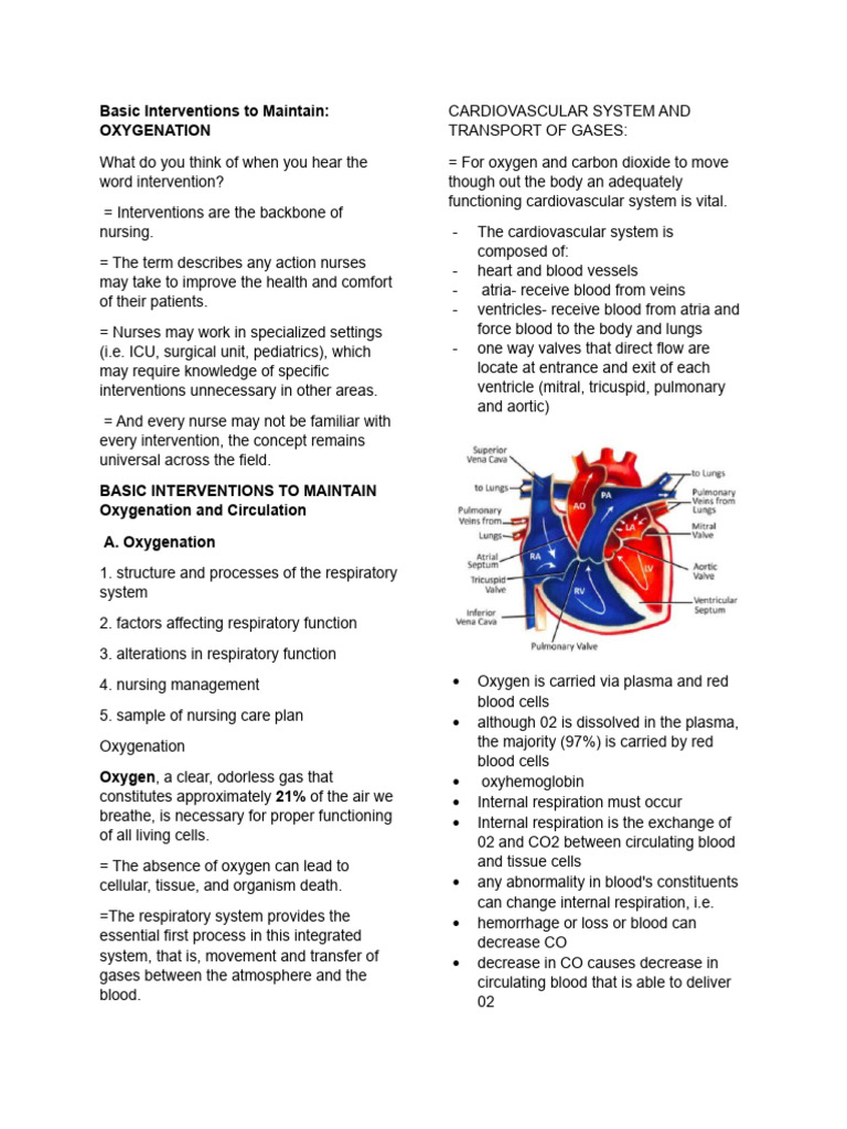 Nursing Interventions for Oxygenation | PDF | Lung | Respiratory Tract