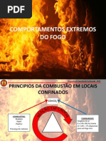 Comportamentos Extremos Do Fogo