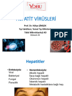 Hepatit Virüsleri