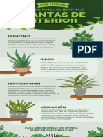 Cuidado de Plantas de Interior