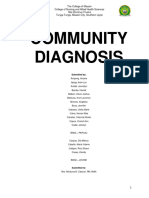 Community Diagnosis 1