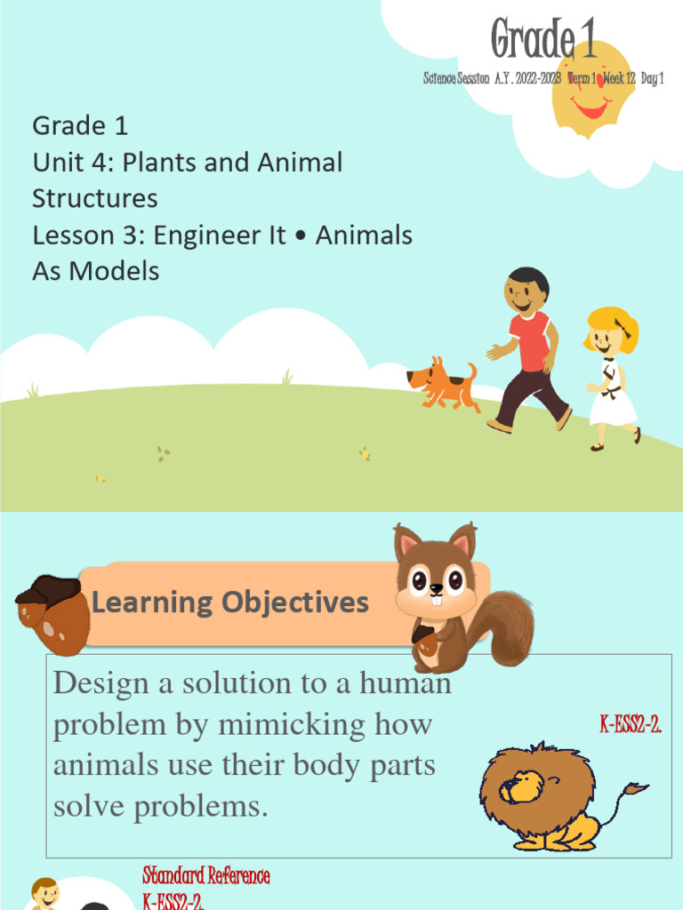 Animals As Models PDF Cognitive Science Cognition