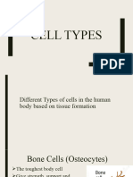 Cell Types