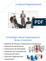 El Psicólogo Laboral - Organizacional Perez Jauregui y Schlemenson