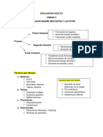 Evaluacion Gestantes Lactantes