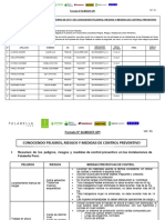 Formato #04-MGSST-GPI Registro de Entrega de RISST y de Conociendo Pe...