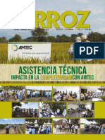 Revista Arroz 562.