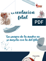 Circulación Fetal