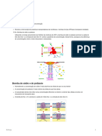 Transporte Ativo e Digestão Nos Seres Heterotróficos