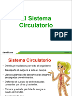 Sistema Circulatorio