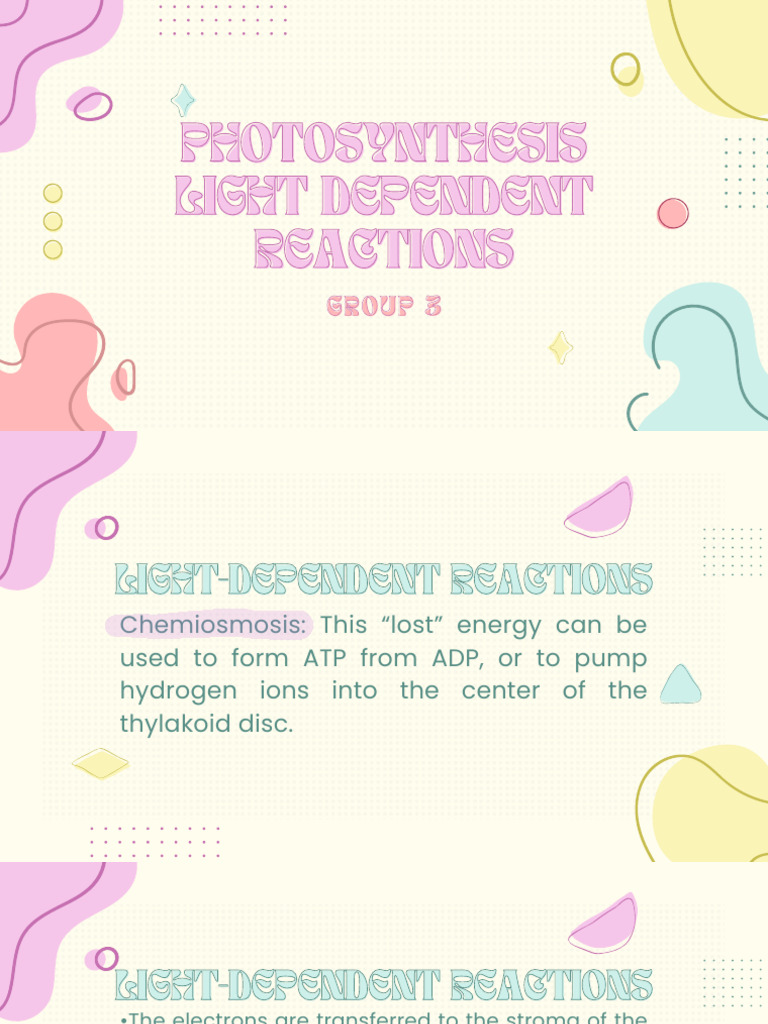 Last Minute Changes Everything You Need To Know About The Calvin Calendar - ovvnija