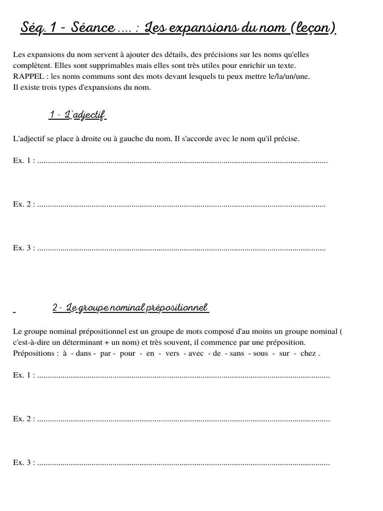 Expansions du nom : leçon et exercices | PDF | Clause | Pronom