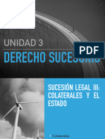 3.6. La Sucesión Legal III