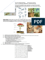 Taller Protista y Hongo Evidencias