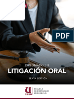 Folleto Litigacion Oral 2024