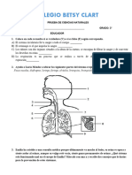 C4 Eva Ciencias 3º