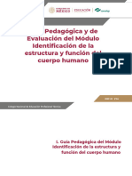 Identificación de La Estructura y Función Del Cuerpo Humano - IDEF-05 - G (10995)