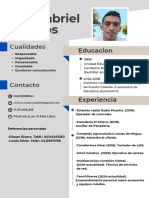 CV Luis