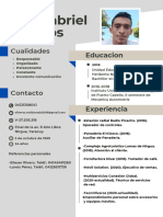 CV Luis Oliveros