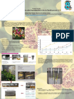 CON 062023REV Efecto Del Ácido Giberélico Sobre La Germinación in Vitro de Tigridia Pavonia