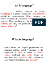 Lecture 1 What Is Language