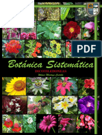 Botánica Sistemática. DICOTILEDONEAS Wilmer Montoya Castillo