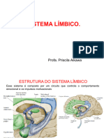 Aula 10 - Sistema Límbico