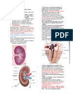 Última Prova de Histologiaaaaa