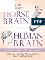 Horse Brain Human Brain-Excerpt