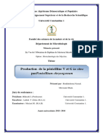 Production de La Pénicilline V Et G in Vitro Parpenicillium Chrysogenum