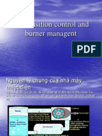 ion Control and Burner Managent