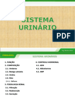 Sistema Urinario EM 2021 20231106-100119