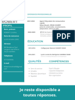 CV de Graphiste