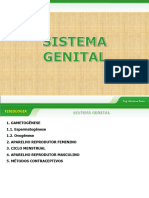 Sistema Genital EM 2021 20231106-100148