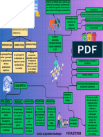 Mapa Mental Respecto A Los Planes y Acciones Establecidos en Medio Ambiente y SST.