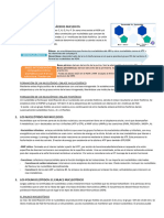 Tema 4 Ácidos Nucleicos