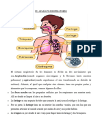 APARATO RESPIRATORIO 2prim