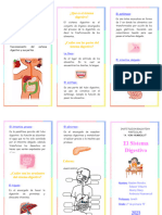 Triptico Del Sistema Digestivo