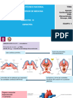 Tema3 Eq3 CambiosFisiologicos