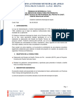 1.TDR - Consultoria Puente Vehicular Suturi 05