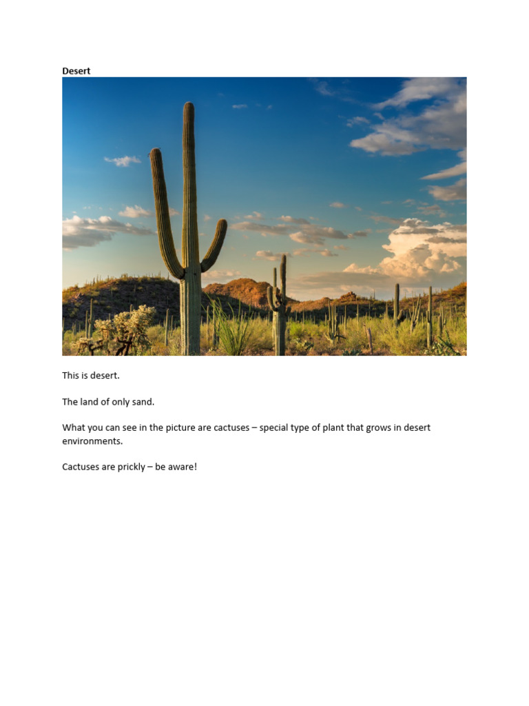 Desert | PDF