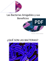Las Bacterias Amigables y Sus Beneficios - NHT