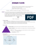 Resumos Introdução À Gestão