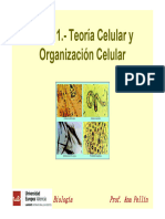 T1 - Teoría Celular y Organización Celular