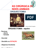 Orquiectomia