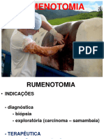 Rumenotomia