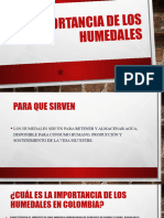 La Importancia de Los Humedales